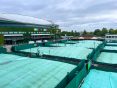 Wimbledon Tennis court covers made by Stuart Canvas