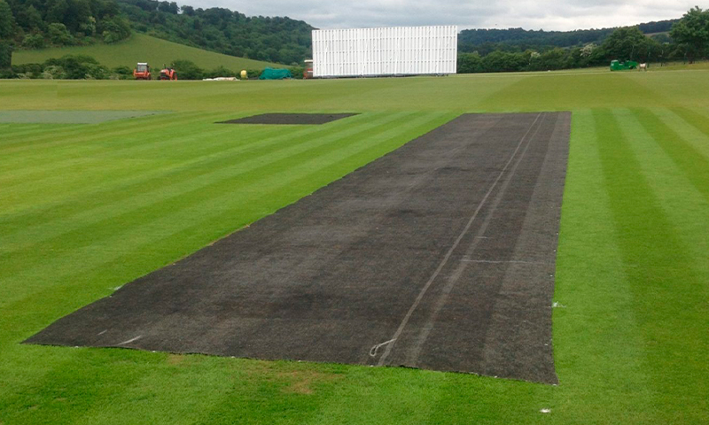 How Germination Sheets Help Cricket Pitches